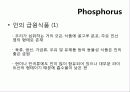 인(Phosphorus) -15 PPhosphorus30.974   6페이지