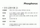 인(Phosphorus) -15 PPhosphorus30.974   7페이지