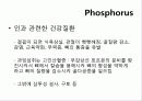 인(Phosphorus) -15 PPhosphorus30.974   8페이지