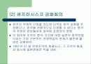 전후 대일점령정책과 전쟁 책임문제, 그 결과 17페이지