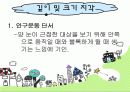 지각 심리학 11페이지