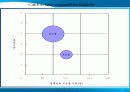 국제화전략의 개발과 해외시장 진입전략 5페이지