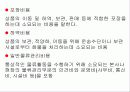 국제물류전략의 개발 18페이지