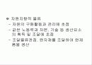 국제물류전략의 개발 24페이지