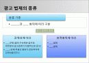 광고 법제 (광고 법제의 시초 및 종류, 국내 법제, 국제 법제, 광고 법제 관련 이슈들) 3페이지