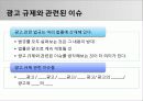 광고 법제 (광고 법제의 시초 및 종류, 국내 법제, 국제 법제, 광고 법제 관련 이슈들) 13페이지