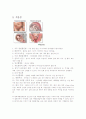 c-sec (CESAREAN SECTION) 3페이지