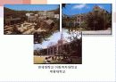 이야기로 엮어가는 한국 기독교의 역사 - 초기 선교활동, 업적을 남긴 인물 : 알렌, 아펜젤러, 이응찬 35페이지
