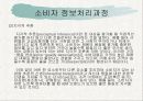 소비자 정보처리과정 13페이지