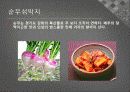 한국의 김치 5페이지