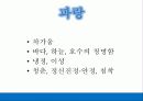 색채의 심리적 특성 13페이지