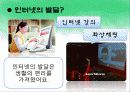 문화교육론- 한국의 인터넷 문화 2페이지