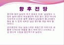 안나수이 향수 SWOT 분석 17페이지