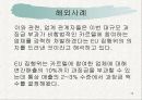 [소비자행동론] 기업 가격 담합 13페이지