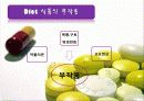 다이어트(Diet), 제대로 알고있니? 6페이지