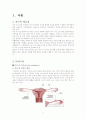 자궁외임신 모성 케이스 레포트 2페이지