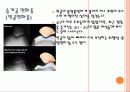 패션아이템이 인체에 미치는 요인 22페이지