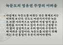 동북공정과 잃어버린 우리영토 (요하문명과 간도, 독도, 녹둔도) 23페이지