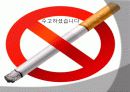 흡연이 건강에 미치는 영향, 담배 속의 화학물질들, 니코틴 중독증 19페이지