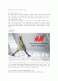 H&M의 마케팅 전략 분석 14페이지