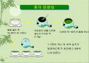 녹차(Green Tea) 18페이지