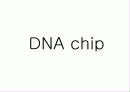 DNA chip 1페이지