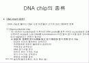 DNA chip 8페이지