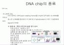 DNA chip 9페이지