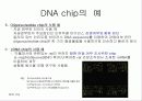 DNA chip 10페이지