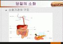 당질 (Carbohydrates)에 대해 31페이지