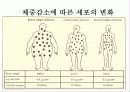 청소년 비만 21페이지