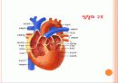 작업관련 뇌•심혈관, 그 예방대책은 무엇인가? 18페이지
