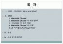 [프랑스문화] 프랑스의 패션 문화 - 샤넬(Chanel)의 패션 철학과 특징 2페이지