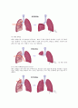 폐암(Lung cancer)환자의 간호과정 11페이지
