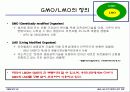 GMO LMO 안전문제와 관리 방법. 파워포인트 발표 자료. 특A++. 유전자 재조합 식품(표, 그림 다수) 3페이지
