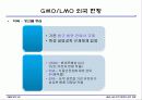 GMO LMO 안전문제와 관리 방법. 파워포인트 발표 자료. 특A++. 유전자 재조합 식품(표, 그림 다수) 27페이지