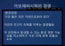 [국제마케팅론]아모레퍼시픽 전략분석 10페이지