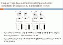 In vivo모델에서 Foxp3+ Regulatory T 세포의 기능과 발달에 있어서 IL-6의 과도한 생산이 미치는 영향  10페이지