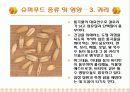 [식품영양] 슈퍼푸드 (Super Food) PPT 10페이지