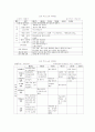 보육과정-기말교안 4페이지