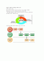 경영학개론-기말교안 20페이지