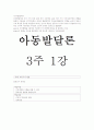 아동발달-중간교안 22페이지