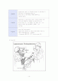 복강경담낭절제술 문헌고찰 및 case study 16페이지