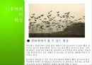 기후변화의 현황과 원인, 기후변화 대책현황 및 한국의 노력방안 [2012년 평가우수자료] 5페이지
