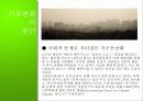기후변화의 현황과 원인, 기후변화 대책현황 및 한국의 노력방안 [2012년 평가우수자료] 13페이지