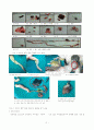 Mouse와 개구리의 해부를 통한 각 기관의 관찰과 비교 2페이지