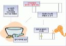 [화학실험 세미나] 얇은 막 크로마토그래피에 의한 엽록체 색소의 분리 12페이지