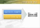 고령화 사회의 원인과 고령화 문제 대책방안과 나의 견해[A+추천 레포트] 7페이지