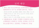 [마케팅 실패사례] LG Telecom의 마케팅 실패 사례 분석 및 우리의 제언[2012년 A+추천 레포트★★★★★] 15페이지