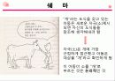 장 피아제의 주요 이론 상세 분석과 교육적 의의와 비판 및 평가(2012년 추천 우수 레포트 선정★★★★★) 6페이지